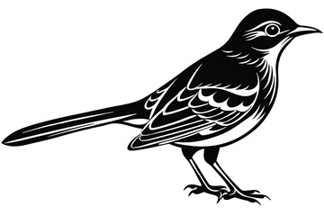Mockingbird Bird Illustration, Stylized 