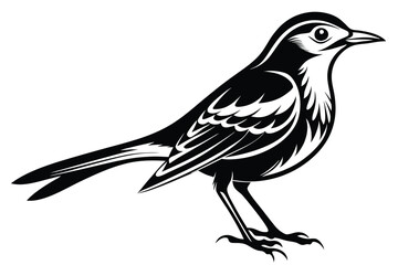 Isolated Wagtail Bird Icon in Black and White Elegant Design 