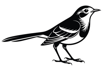 Mockingbird Silhouette, Bird 