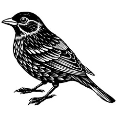 Fototapeta premium Bird on a branch