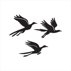 set of vector birds