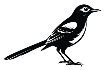 Obraz premium Magpie Silhouette with Detailed Wing Markings