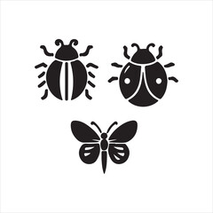 ladybug on a white background