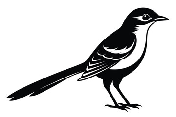 Obraz premium Striking Black & White Silhouette Magpie 