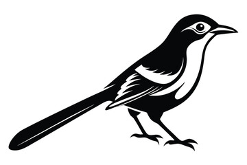 Monochrome Magpie