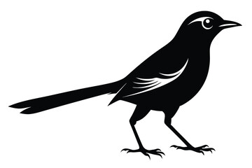 Bird Silhouette, Songbird with Detailed Wing Markings, Isolated