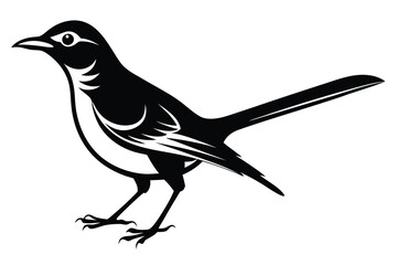 Mockingbird Standing Vector, TwoTone Silhouette, Detailed Wing Markings, 