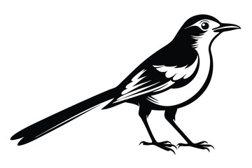 Stylized Magpie Bird with Long Tail in Black and White 