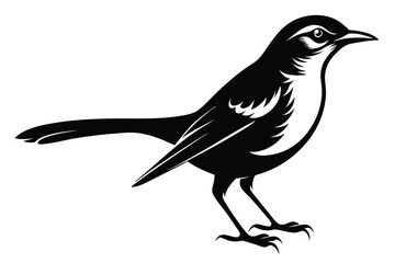 Mockingbird Graphic, Monochrome Bird Symbol, Songbird Silhouette, Bird Icon on white