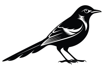 Minimalist Magpie on White Background Elegant Bird Design