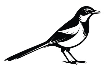 Minimalist Black and White Magpie Bird 