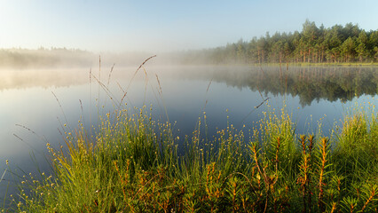 Sunrise by the lake on a summer morning