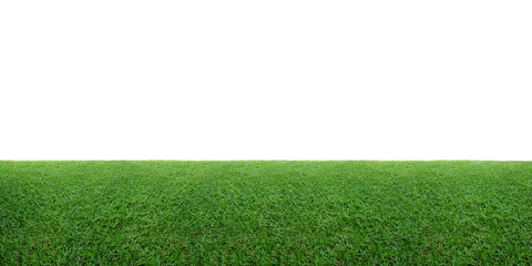 green grass isolated on white