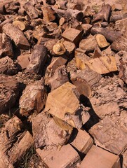 Freshly cut firewood logs stacked outdoors, pile of chopped wood pieces in a rural setting, rough textured timber logs for firewood. image 
