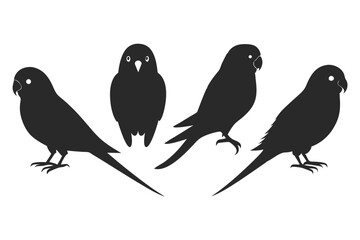 set of Budgerigar silhouette vector illustration