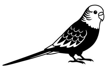 Budgerigar silhouette vector illustration