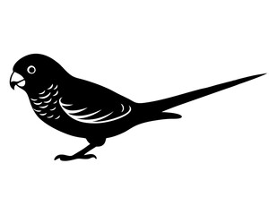 Budgerigar silhouette vector illustration