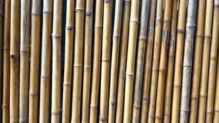 Fototapeta premium Close up bamboo texture , background image.