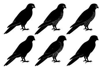 set of Kestrel silhouette vector illustration