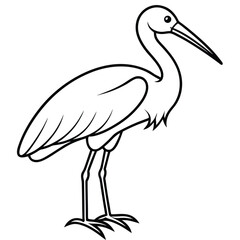 stork on a white background