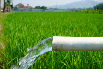 Irrigation of rice fields using pump wells with the technique of pumping water from the ground to flow into the rice fields. The pumping station where water is pumped from a irrigation canal system.	
