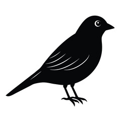 Black crow perched on a branch silhouette