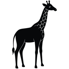 giraffe vector illustration