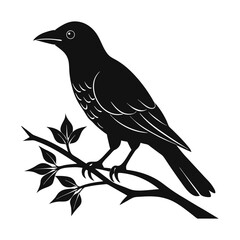 Fototapeta premium crow on a branch