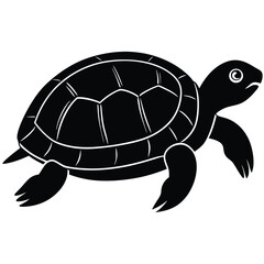 vector illustration of turtle
