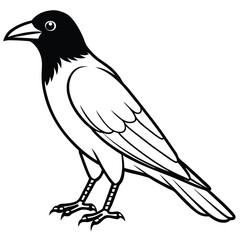 vector illustration of a bird