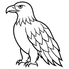 eagle vector illustration