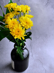 Bright yellow chrysanthemum flowers in the dark brown glass vase, still life object or decoration prop for home decoration, interior design