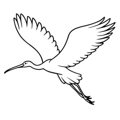 vector illustration of a flying bird