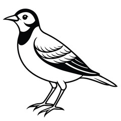 bird on a white background