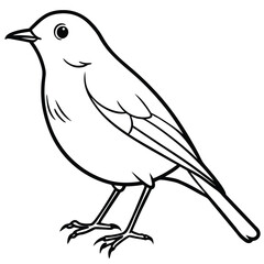 bird on a branch
