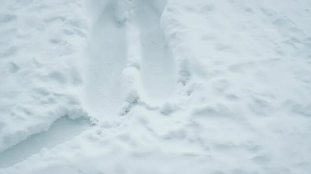 Winter boots walking through fresh snow in a tranquil setting