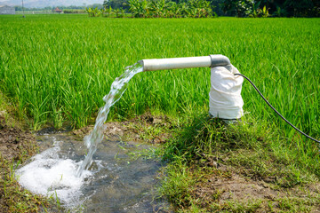Irrigation of rice fields using pump wells with the technique of pumping water from the ground to flow into the rice fields. The pumping station where water is pumped from a irrigation canal system.	
