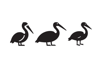 Pelican Silhouette Vector Seabird Illustration 