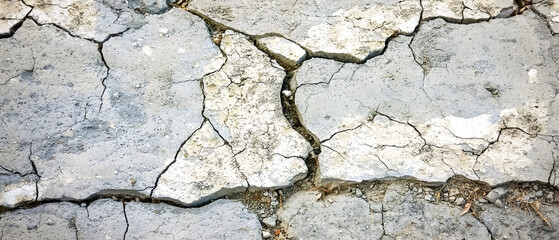 Obraz premium Cracked Dry Ground Surface with Textured Pattern and Fissures