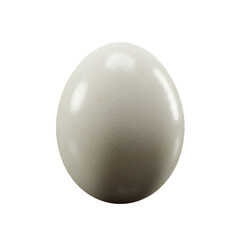 boiled egg isolated on white background 