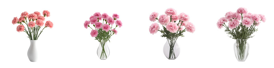 Pink carnation flower