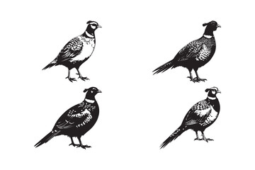 Quail Bird Silhouette Vector Pheasant Wildlife Clipart