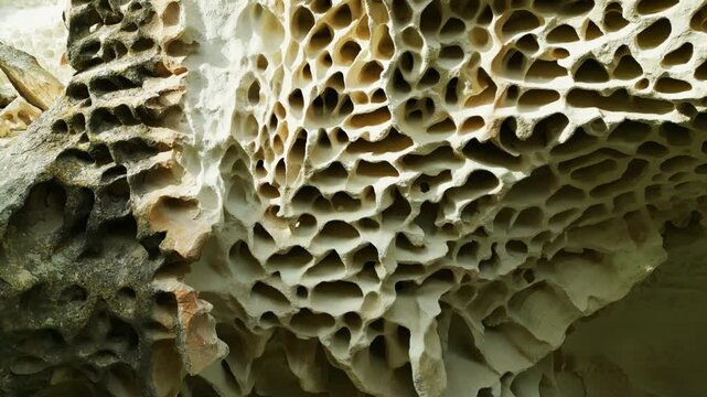 canyon with tafoni on the walls of ybykty sai narrow rocky openwork panorama from left to right kazakhstan mangystau 4k