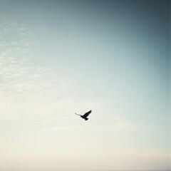 Fototapeta premium A single dark bird soars gracefully through a vast pale sky filled with subtle clouds on a tranquil day offe a sense of freedom and peace.