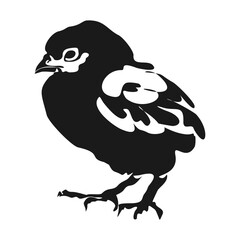 Black silhouette of the chick. Cute little chicken. vector illustration