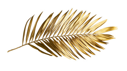 Golden Palm Leaf with Glitter on Transparent Background, PNG