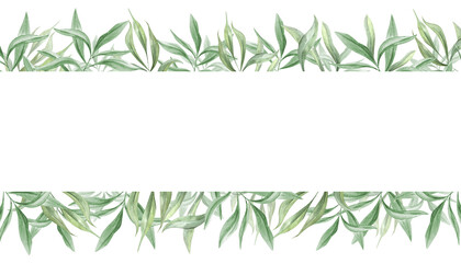 Watercolor tropical green leaves horizontal border isolated background. Ivy branches floral illustration. Olive plant rectangle frame with empty space with text. Eucalyptus foliage. For invitation © Masha_tolk_art
