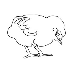 Single continuous line drawing the chick. Cute little chicken. One line design vector illustration