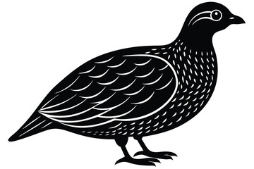 Bobwhite quail vector design silhouette, quail bird silhouette vector illustration design.