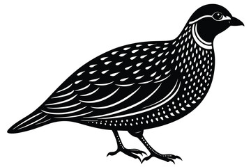 Bobwhite quail vector design silhouette, quail bird silhouette vector illustration design.